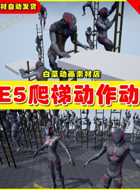 UE5 UE4 Ladder OSHA 12 - Mocap Pack 爬梯动作动画4.27 5.1