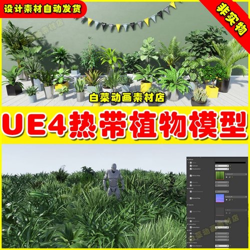 UE4 Tropical House Plants 亚热带植物盆摘绿化素材4.27