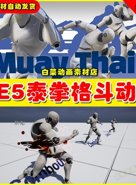 UE5虚幻素材 MuayThai AnimSet 拳击泰拳打斗格斗动作动画5.2
