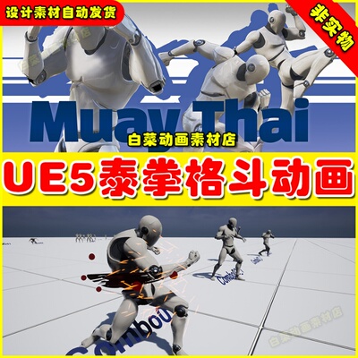 UE5虚幻素材 MuayThai AnimSet 拳击泰拳打斗格斗动作动画5.2