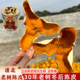 2025年广西浦北老树冬后大红陈皮圈枝柑大红柑茶枝柑自然阳光生晒