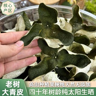 2025年广西浦北陈皮新鲜 大青皮 老树原枝茶枝柑生晒陈皮青皮