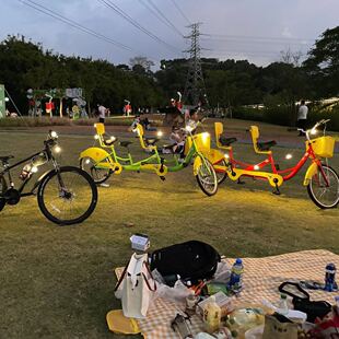 户外露营LED南瓜灯串大球泡彩灯南瓜灯婚庆氛围装饰露营USB串灯