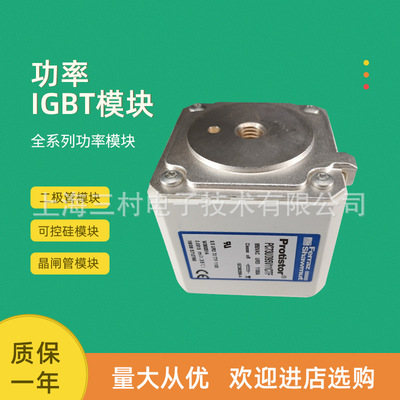 全新熔断器保险丝全新DIIGR50V10/M214578 DIIGR50V16/T215090