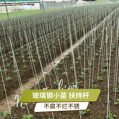 花卉支撑小苗扶苗杆玻璃钢
