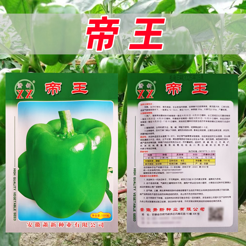 帝王甜椒种子特大灯笼椒新品种菜椒高产辣椒籽不辣的柿子椒蔬菜种