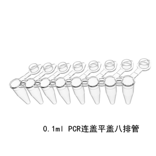 艾本德 仪器CKSLAB 0.1 Eppendorf roche ABI 透明适配罗氏 白色 0.2ml PCR八连排管 PCR管