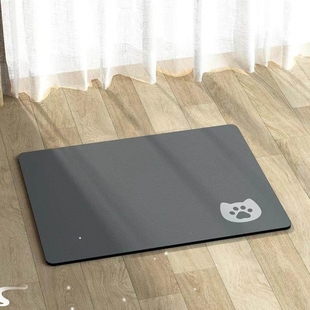 Dish Coffee Large Draining Dry Super Mat Absorbent