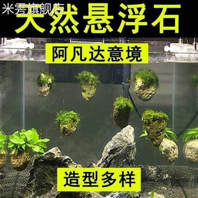 鱼缸造景浮石阿凡达悬浮石莫斯浮石水族造景石水草缸装饰浮石