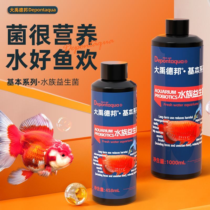 大禹德邦水族益生菌兰寿泰狮金鱼