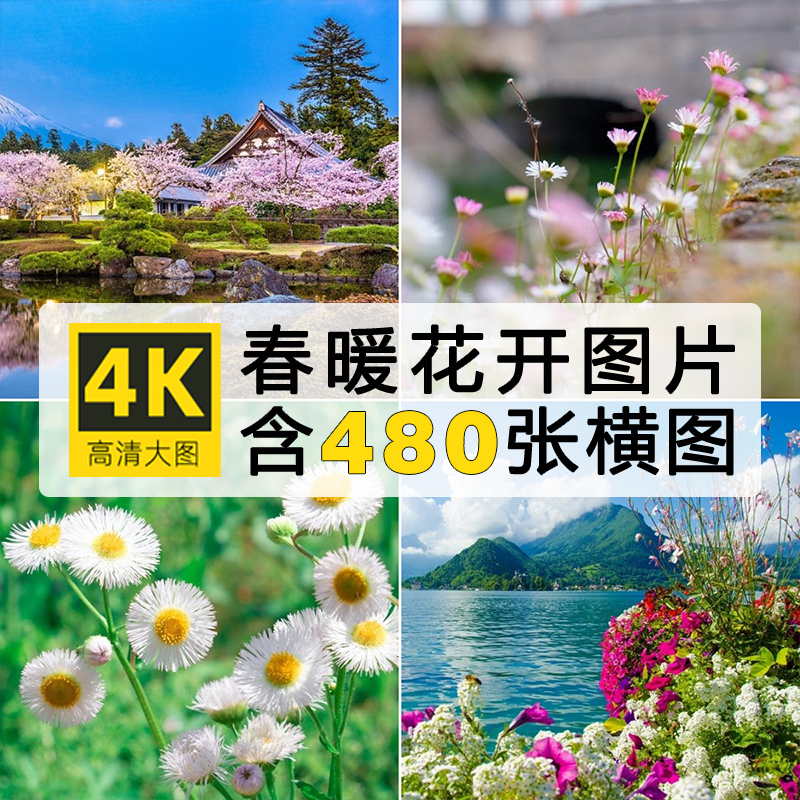 4K高清图集 春天面朝大海春暖花开海棠自媒体抖音PS设计壁纸素材