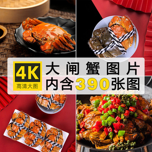 高清图库大闸蟹照片阳澄湖螃蟹海鲜美食鲜活图片菜单广告ps素材