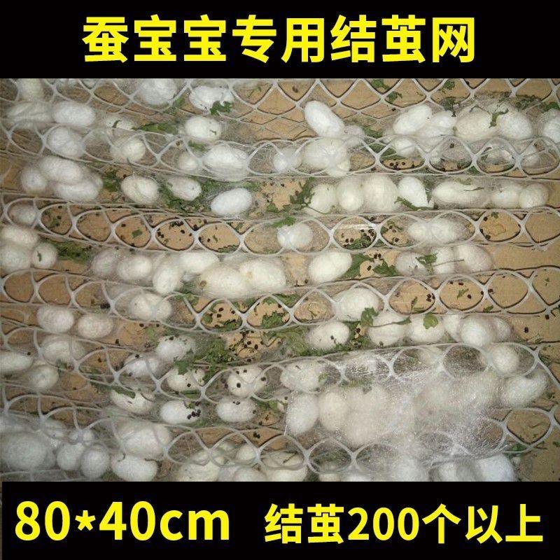 蚕网扇蚕丝网宝宝蚕结蚕蚕宝宝结蚕架茧房吐丝架蚕房结茧架结茧