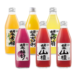 【企业团购咨询】好望水气泡果汁饮料望杏福梅好年货送礼企业福利