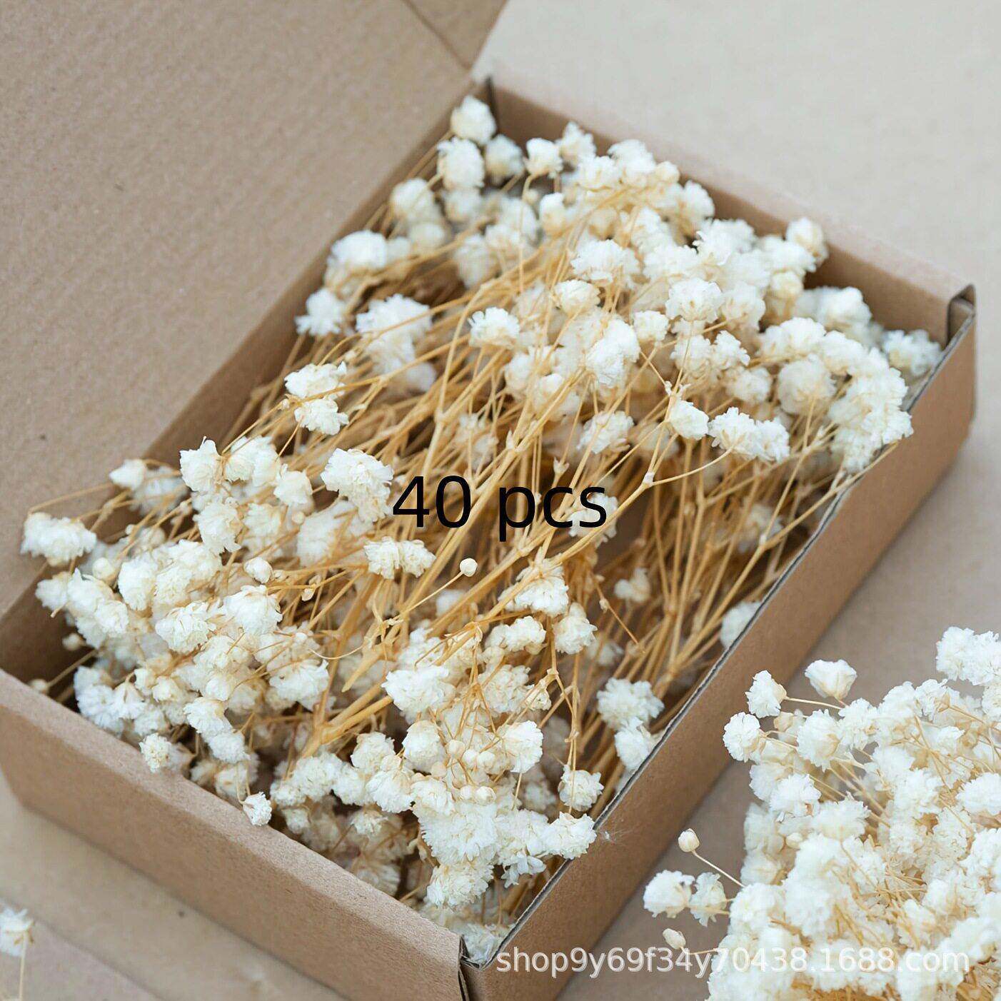 满天星永生花干花现货云南工厂直销鲜花跨境热销散装绿DIY