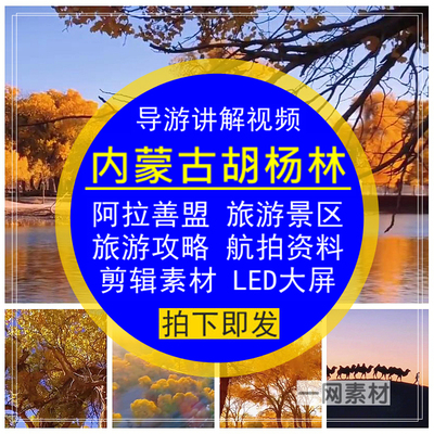 内蒙古阿拉善盟胡杨林旅游景区导游讲解视频游览攻略高清LED大屏