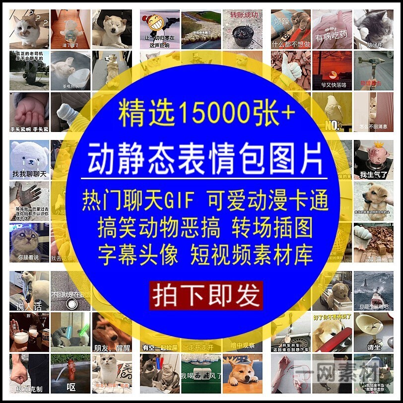 动静态表情包图片GIF热门聊天可爱视频素材库后期自媒体剪辑合集