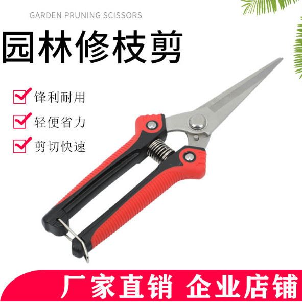 修枝剪果树修剪刀摘果神器新款盆景葡萄蔬果蔬菜园艺剪刀树枝修剪