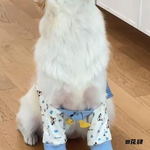 狗狗护肘衣保护套金毛中大型犬防磨关节宠物前腿护膝防脏护肘衣