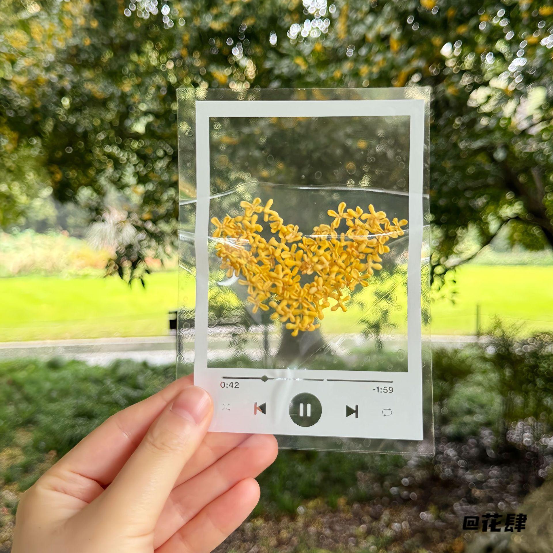 干花多功能树叶书签材料包diy植物手工自制桂花压花透明标本