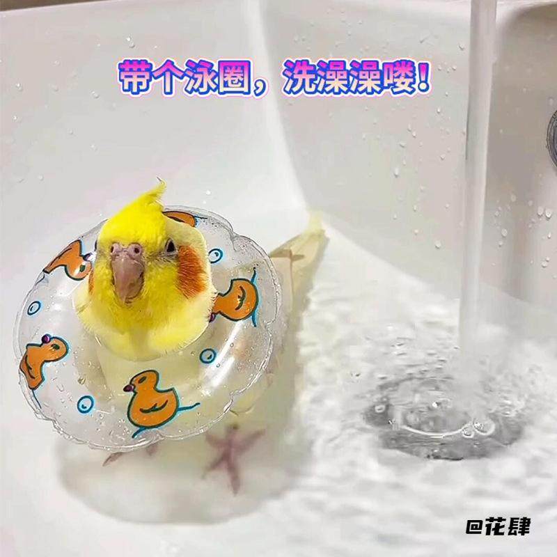 解闷洗澡小宠物用解压拍摄小鸟玩具装饰鹦鹉游泳圈道具乌龟泳圈,玩具/童车/益智/积木/模型,其它玩具,淘宝优惠券,粉丝福利购,淘宝优惠卷