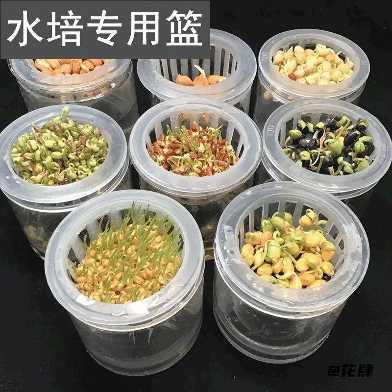 固根器家用花卉定植篮绿植花盆可水培神器种植定植杯固定架无土栽,家居饰品,仿真植物盆景,淘宝优惠券,粉丝福利购,淘宝优惠卷