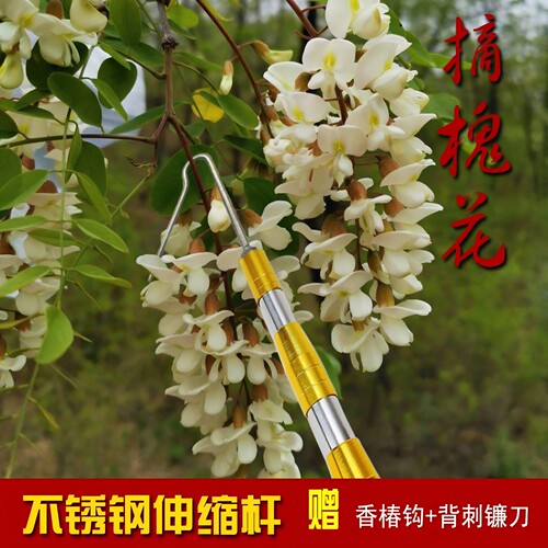 不锈钢伸缩抄网杆摘果钓鱼