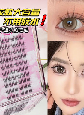 致娴免胶水自粘假睫毛透明梗可重复使用ace女团款猫精灵花卷浓密