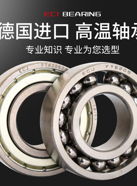 德国ECJ耐高温轴承600度FT6200 6201 6202 6203 6204 6205 6206ZZ