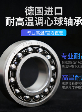 德国ECJ耐高温600调心球轴承FT2205 FT2206 FT2208 FT2308 FT2312