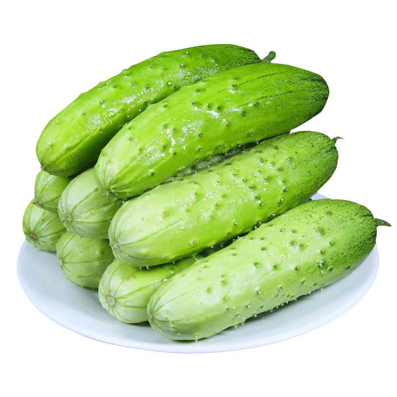 水果小黄瓜新鲜山东旱黄瓜生吃蔬菜脆嫩青瓜整箱包邮