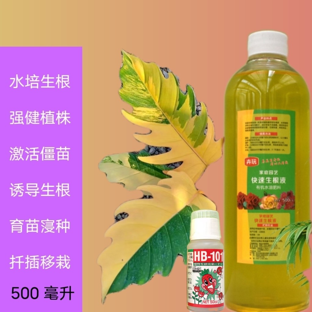 生根液水溶肥通用HB101花卉移栽扦插活力生长素快速强力生根壮苗,鲜花速递/花卉仿真/绿植园艺,家庭园艺肥料,淘宝优惠券,粉丝福利购,淘宝优惠卷