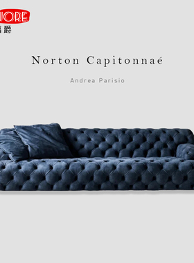 Meridiani意式极简直排布艺拉扣沙发客厅简约现代小户型磨砂真皮