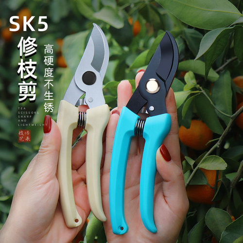 德国不锈钢园艺剪刀树枝摘果神器