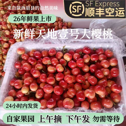 大樱桃天地一号甜脆现货