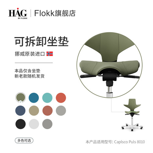可拆卸挪威原装进口人体工学椅
