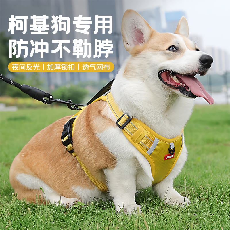 2025新款狗狗用牵引绳小型犬背心式胸背带柯基比熊宠物遛狗绳链子