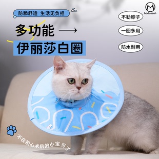 猫咪狗狗颈脖套头套绝育脖圈防抓防舔套 伊丽莎白圈宠物轻薄防水款