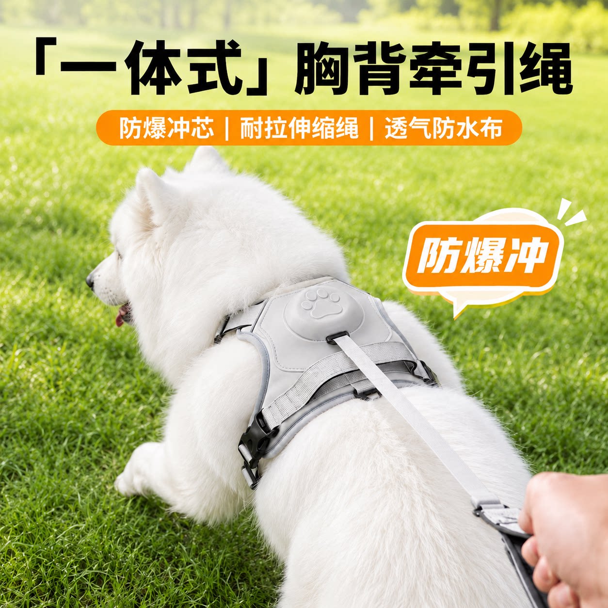 【热销8万+】一体狗狗胸背牵引绳图片