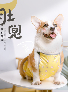 宠物肚兜护肚子衣服狗狗防雨雪衣雨披保暖柯基专用防脏冬季防着凉