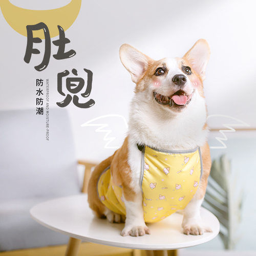 宠物肚兜夏季防着凉防水防脏