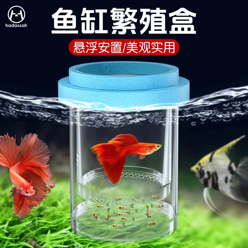 鱼缸隔离盒孔雀鱼小鱼孵化繁殖盒