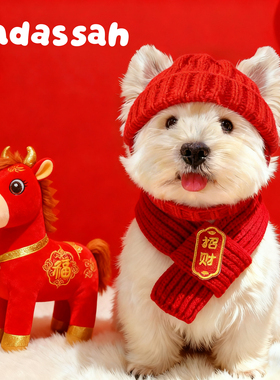 宠物招财套装帽子围脖狗狗猫咪围巾拍照装饰西高地红色喜庆针织帽