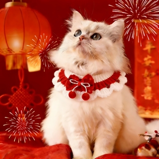 宠物新年项圈猫咪围脖口水巾红色毛线春节配饰中国结狗狗围巾项圈