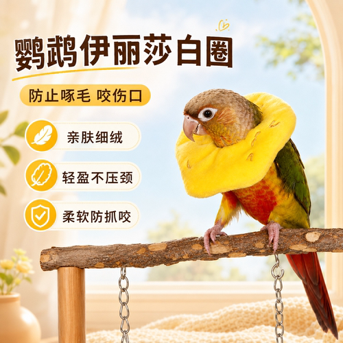 鹦鹉伊丽莎白圈防抓防咬小宠仓鼠保护圈术后花枝鼠鸟类伊丽莎白圈