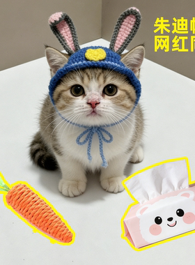 萝卜纸巾猫咪帽子可爱搞怪小兔子警官针织帽胡萝卜麻绳玩具猫头套