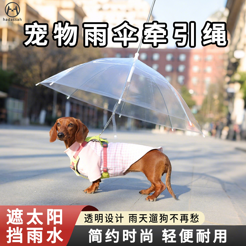 宠物透明雨伞狗狗专用下雨遛狗伞