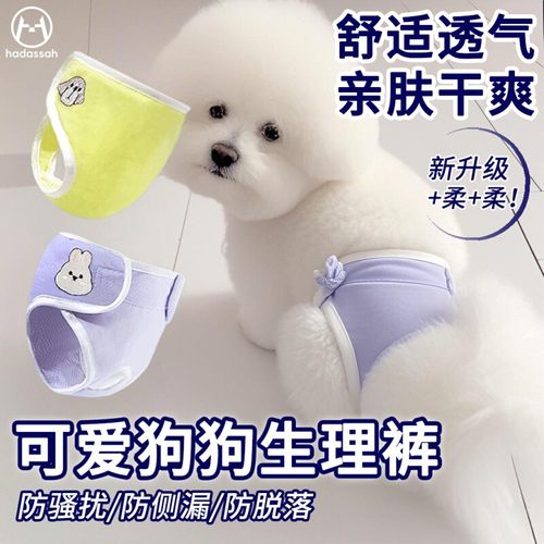 宠物狗狗生理裤泰迪姨妈巾防骚扰