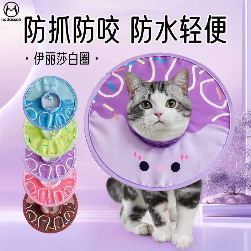 伊丽莎白圈不影响吃饭猫咪绝育项圈小型犬狗狗脖圈宠物头套耻辱圈