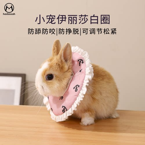 【全网热销1万+】兔子伊丽莎白圈